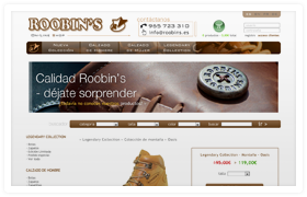 Roobin's Online web design